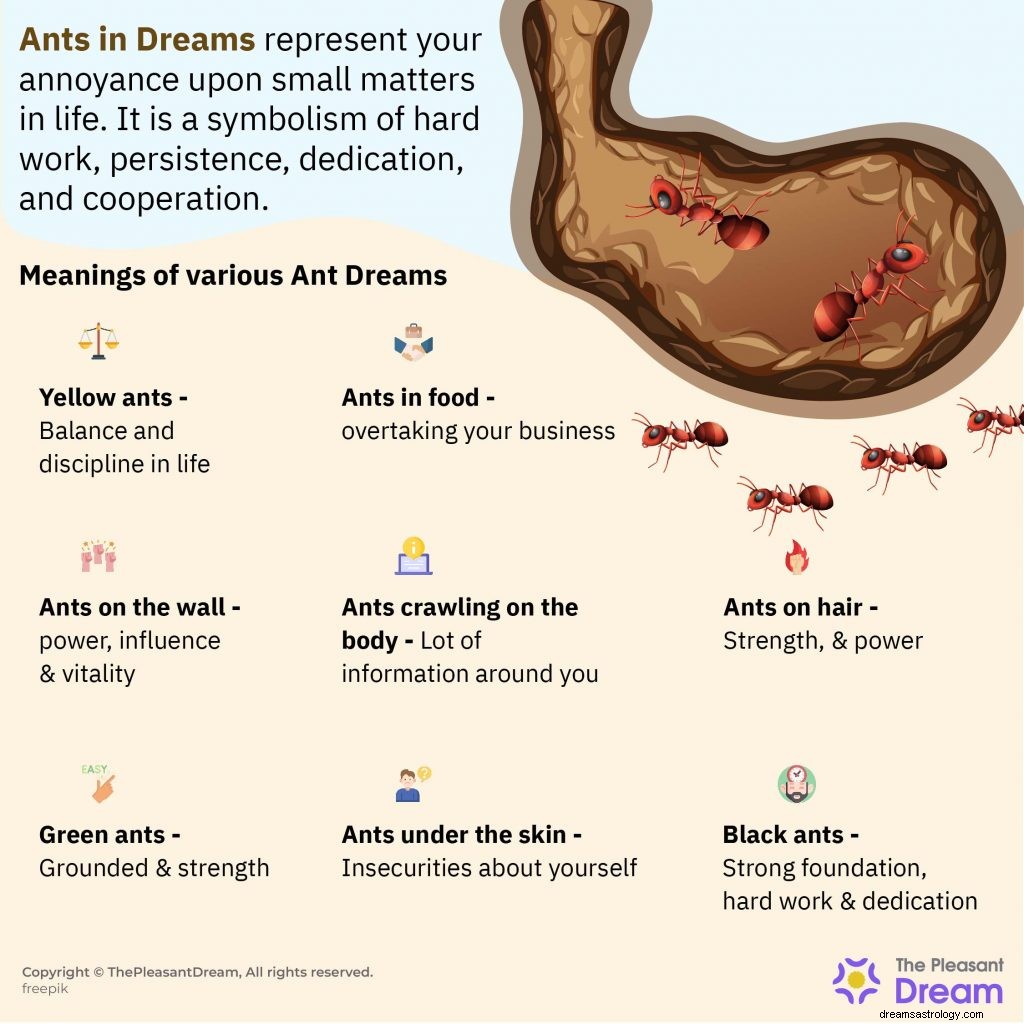 Dromen van mieren:100 soorten dromen en de betekenis ervan 