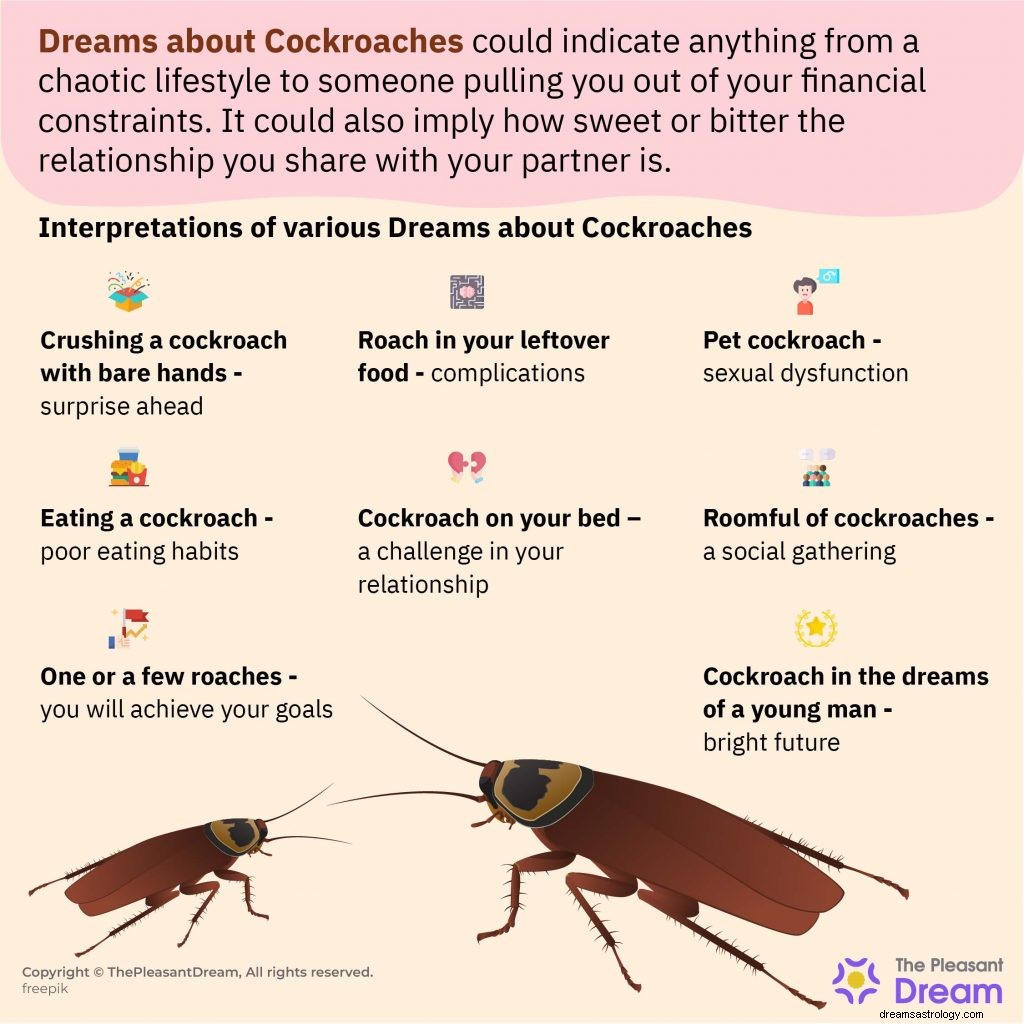 Betekent een droom over kakkerlakken dat je vieze gedachten hebt? 