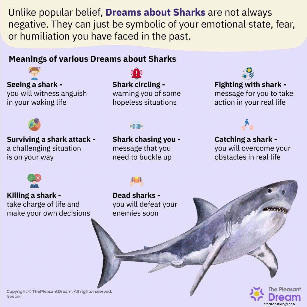 あなたはサメについての夢を持っていますか？意味は次のとおりです[52種類] 