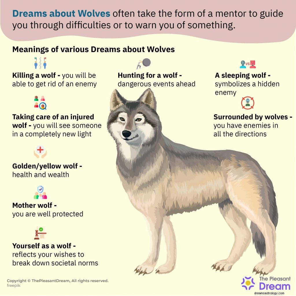 Zijn dromen over wolven altijd slecht? Ontdek het hier! 