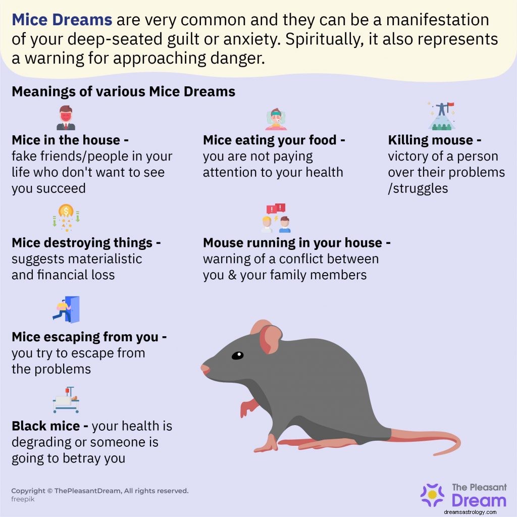 Har du drømt om mus på det seneste? Her er hvad det betyder [45+ typer og fortolkninger] 
