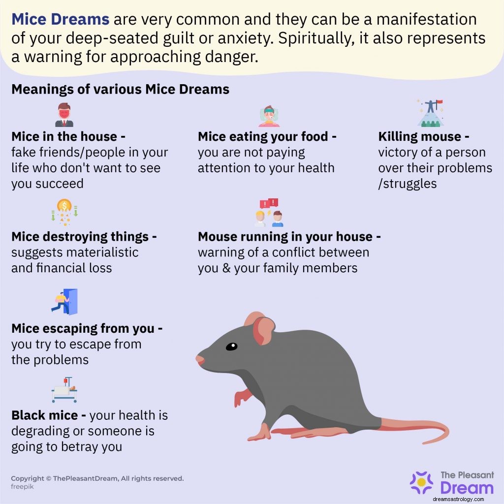 Hast du in letzter Zeit von Mäusen geträumt? Hier ist, was es bedeutet [45+ Typen &Interpretationen] 