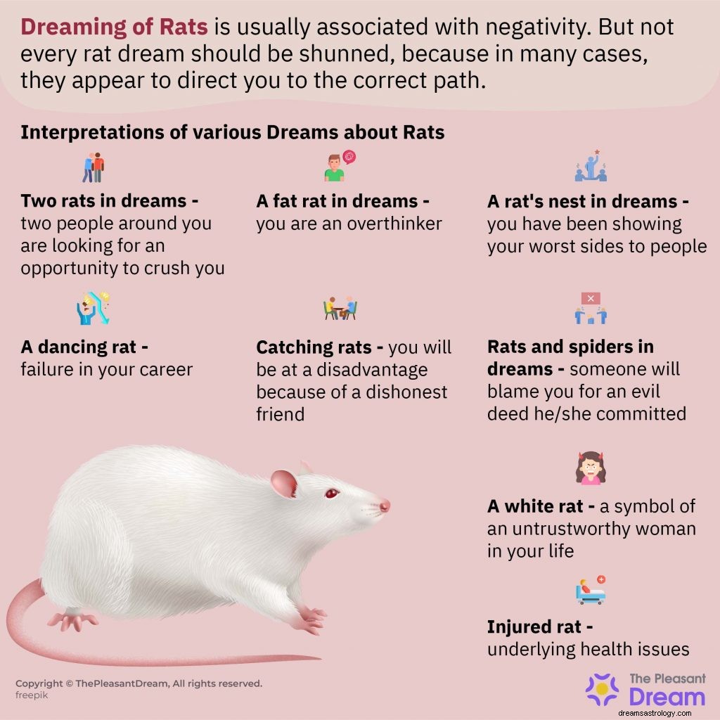 Sonhando com ratos:mais de 150 enredos e seus significados 