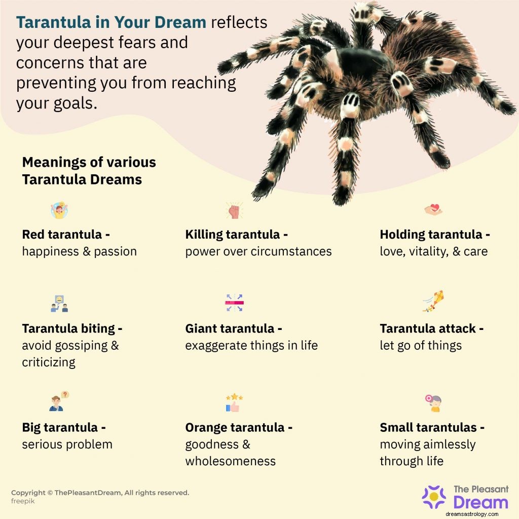 55 typer av Tarantula drömmar och deras betydelser 