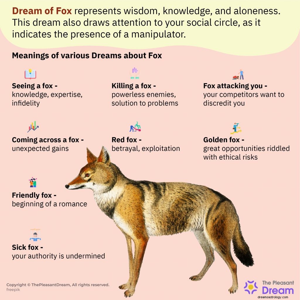 Droomde je van Fox? Lees hier over deze bedrieger! 