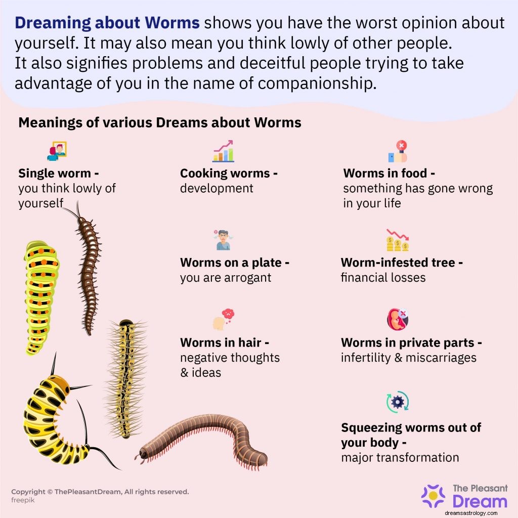 Sonhando com Worms - 141 parcelas de sonhos e seus significados 