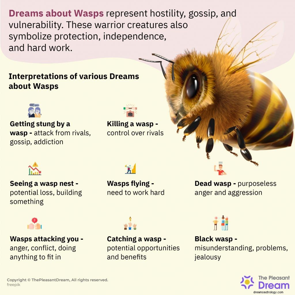 O que é todo o Buzz sobre Wasp Dreams? [47 Tipos e seus significados] 