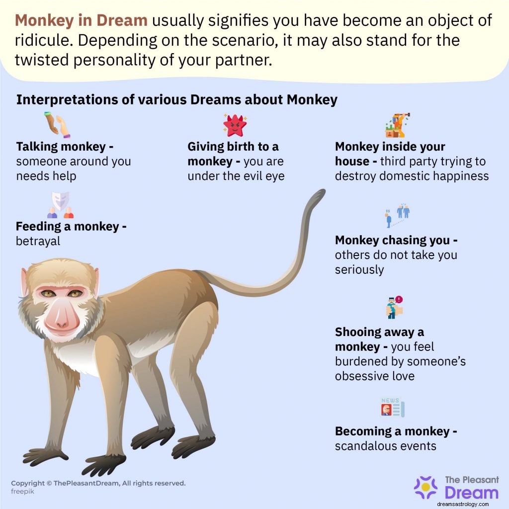Macaco em sonho:147 enredos de sonho e seus significados 