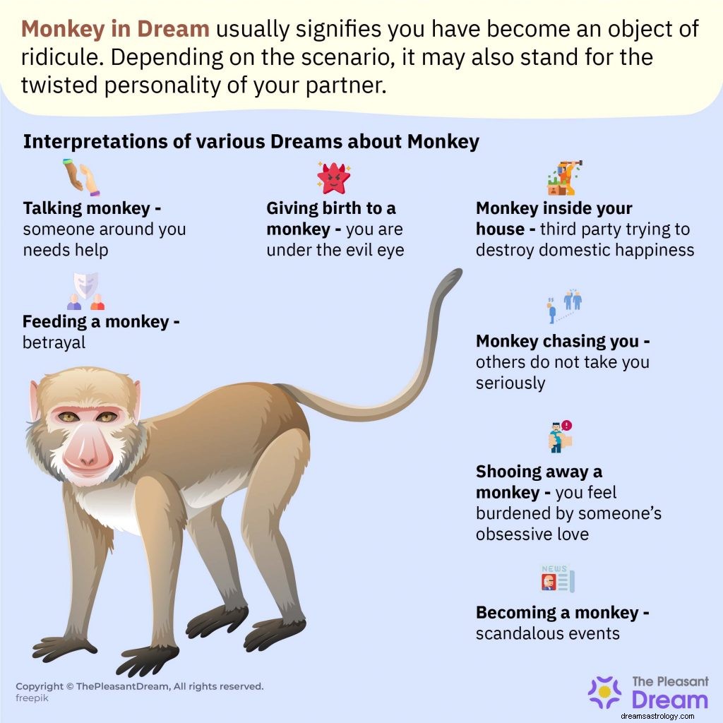 Monkey In Dream :147 parcelles de rêve et leur signification 