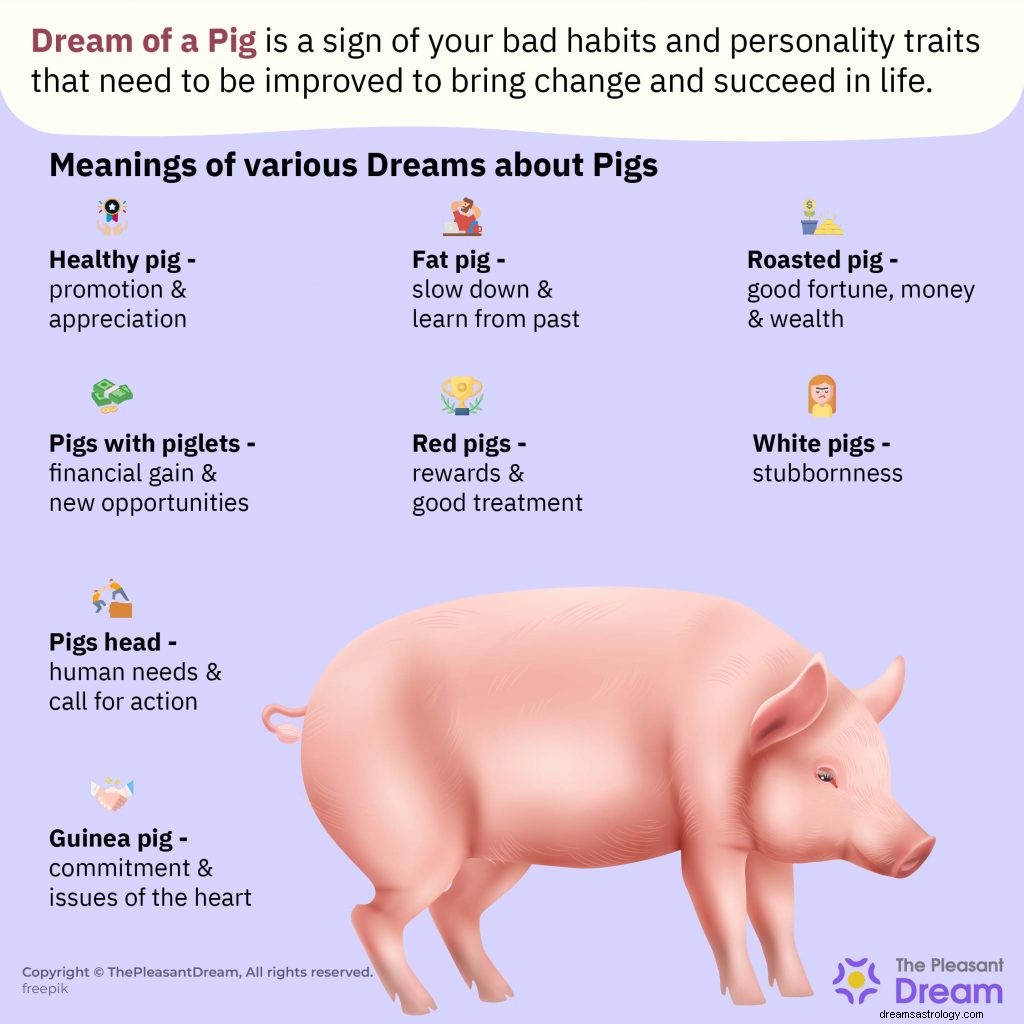 Pig in Dream :79 types de rêves et leur signification 