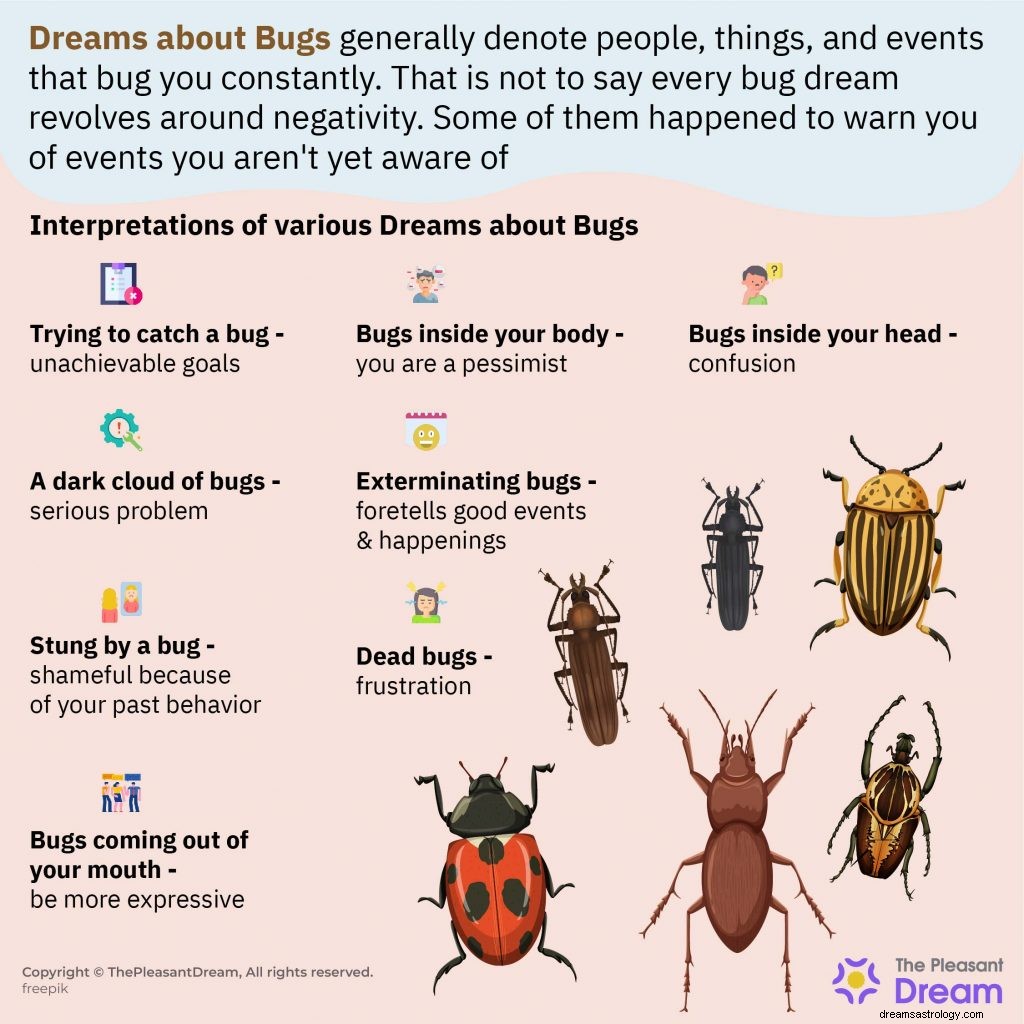 Sogni di insetti:una benedizione o un avvertimento? 