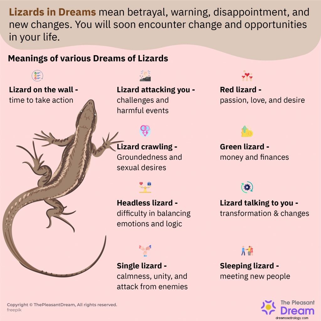 Så du Lizards in Dream? Her er hva drømmen din betyr! [65 typer] 
