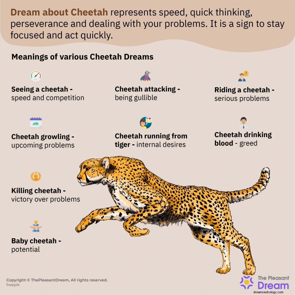 Význam snu geparda:Průvodce s 19 scénáři a symbolickými významy 