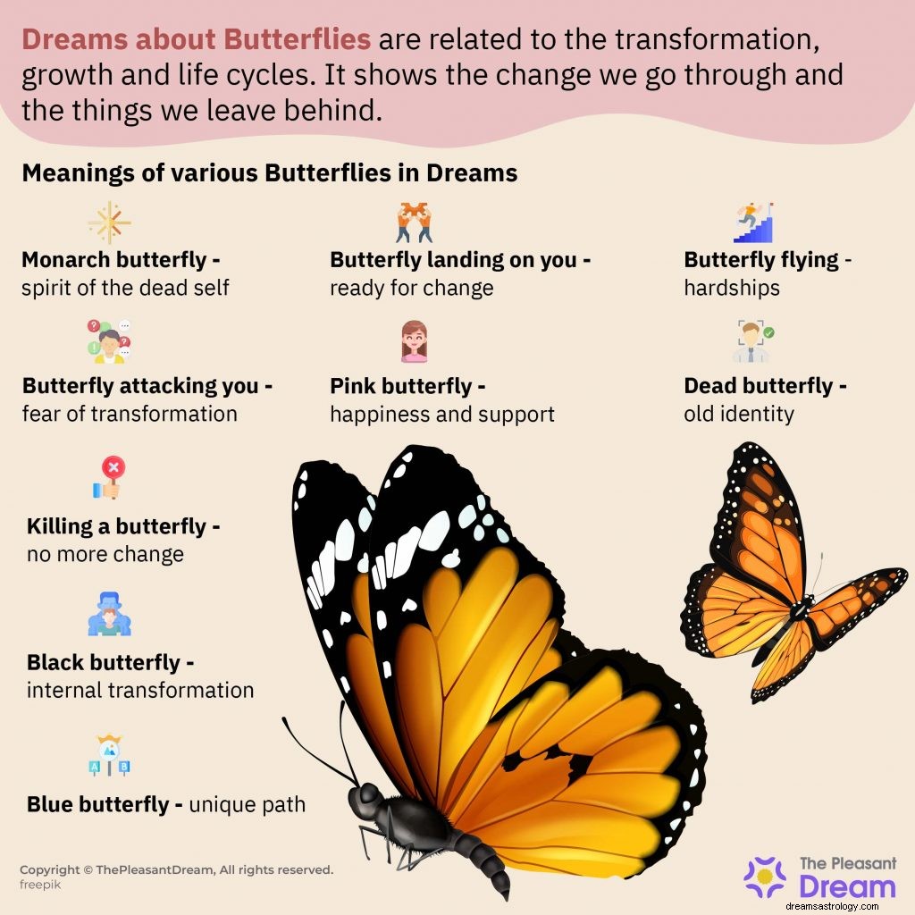 Drøm om sommerfuglen – Forstå 33 scenarier og dens fortolkninger 