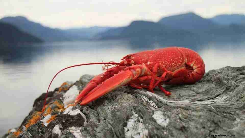 Våknet du til en drøm om hummer? Finn ut hva det betyr! 