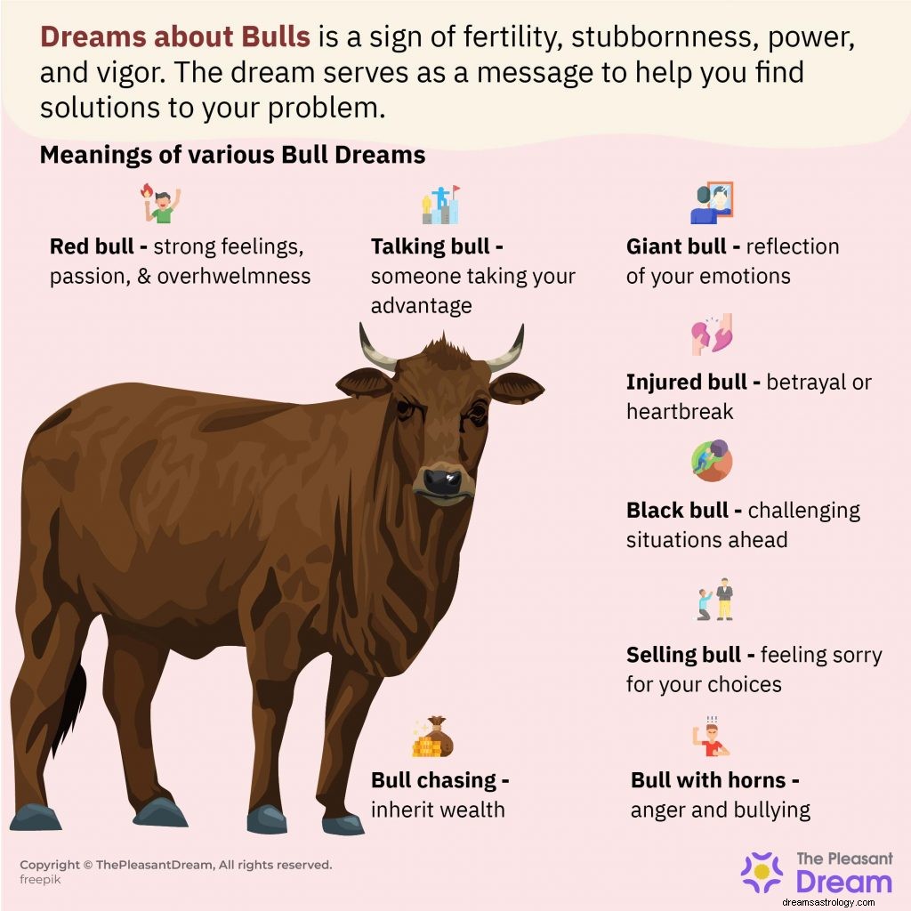 Bull in Dreams :60 intrigues et leur signification 