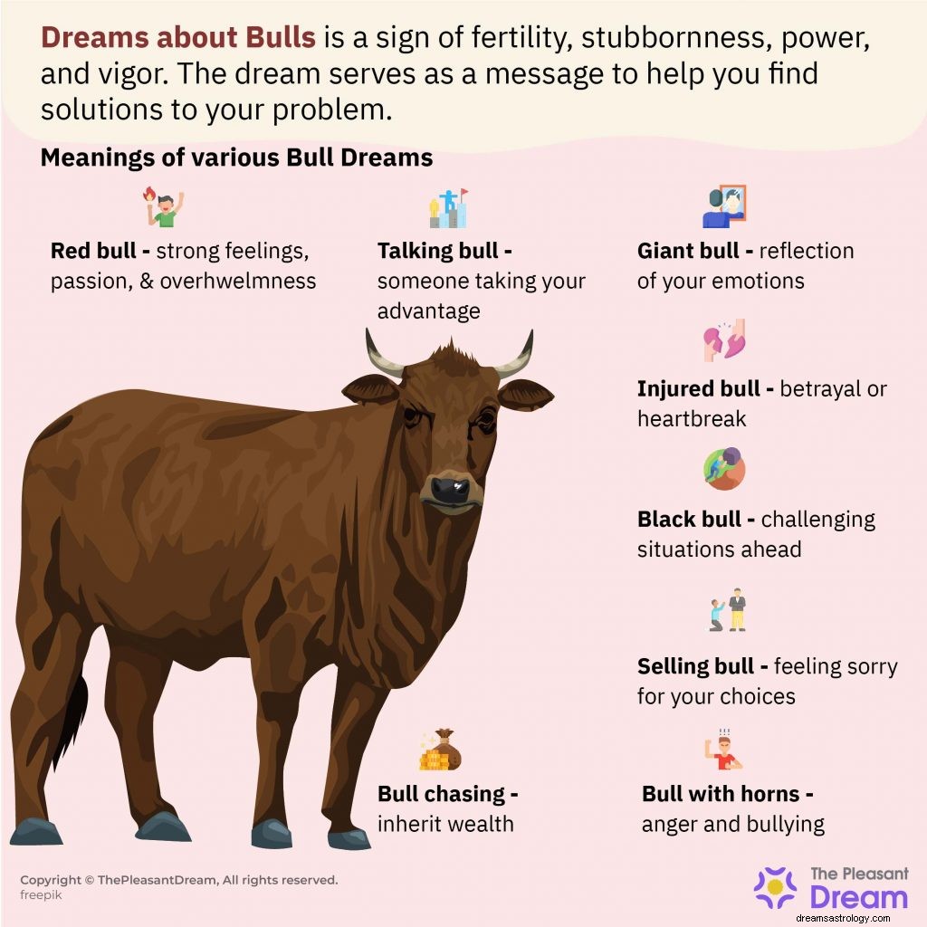 Toro en sueños:60 tramas y su significado 