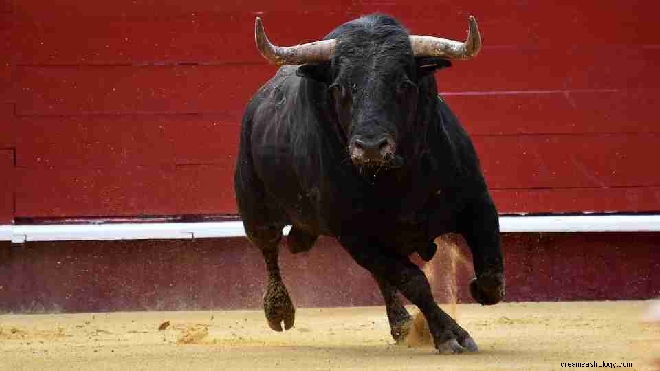 Toro en sueños:60 tramas y su significado 