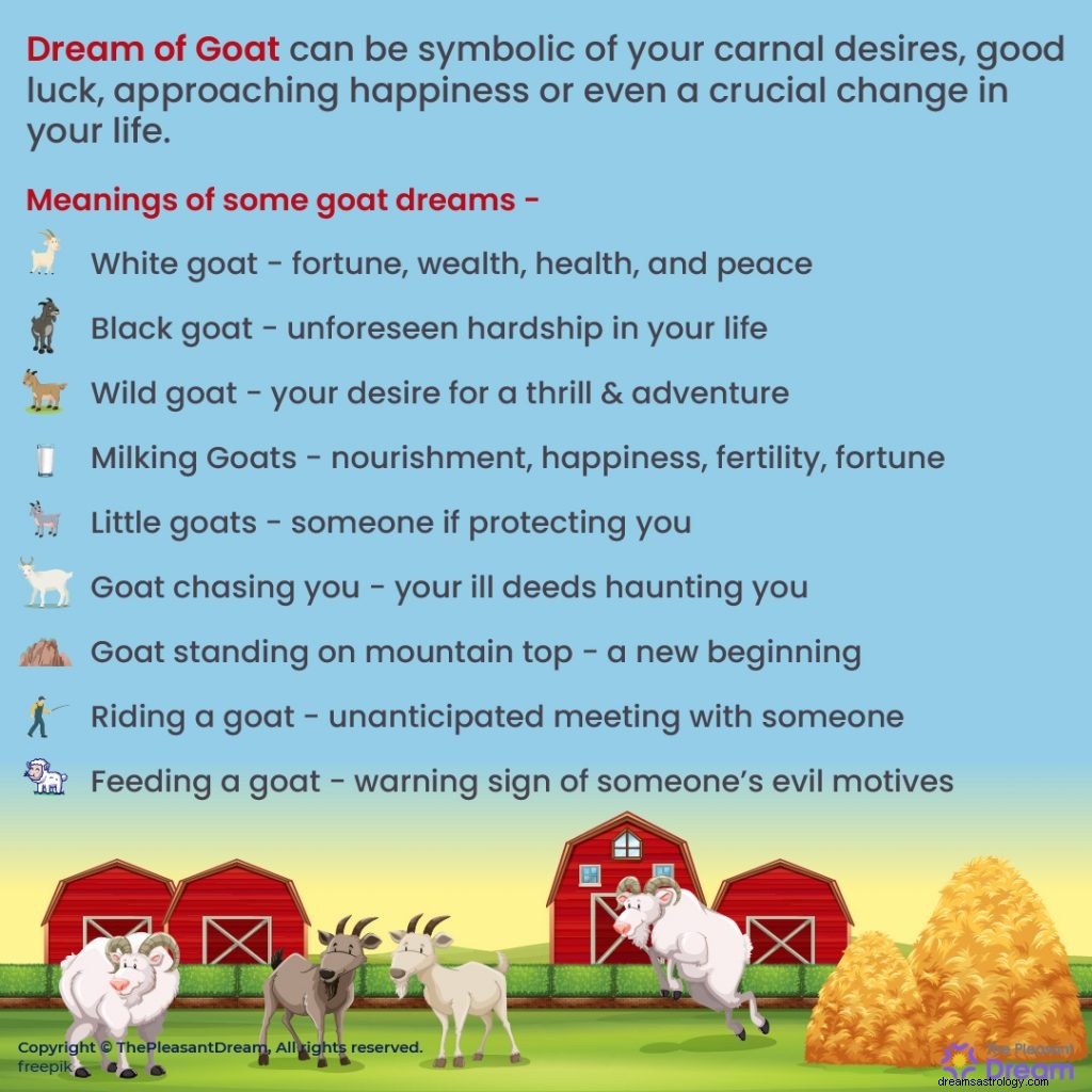 Avez-vous vu une chèvre en rêve ? Découvrez ce que cela signifie ! 