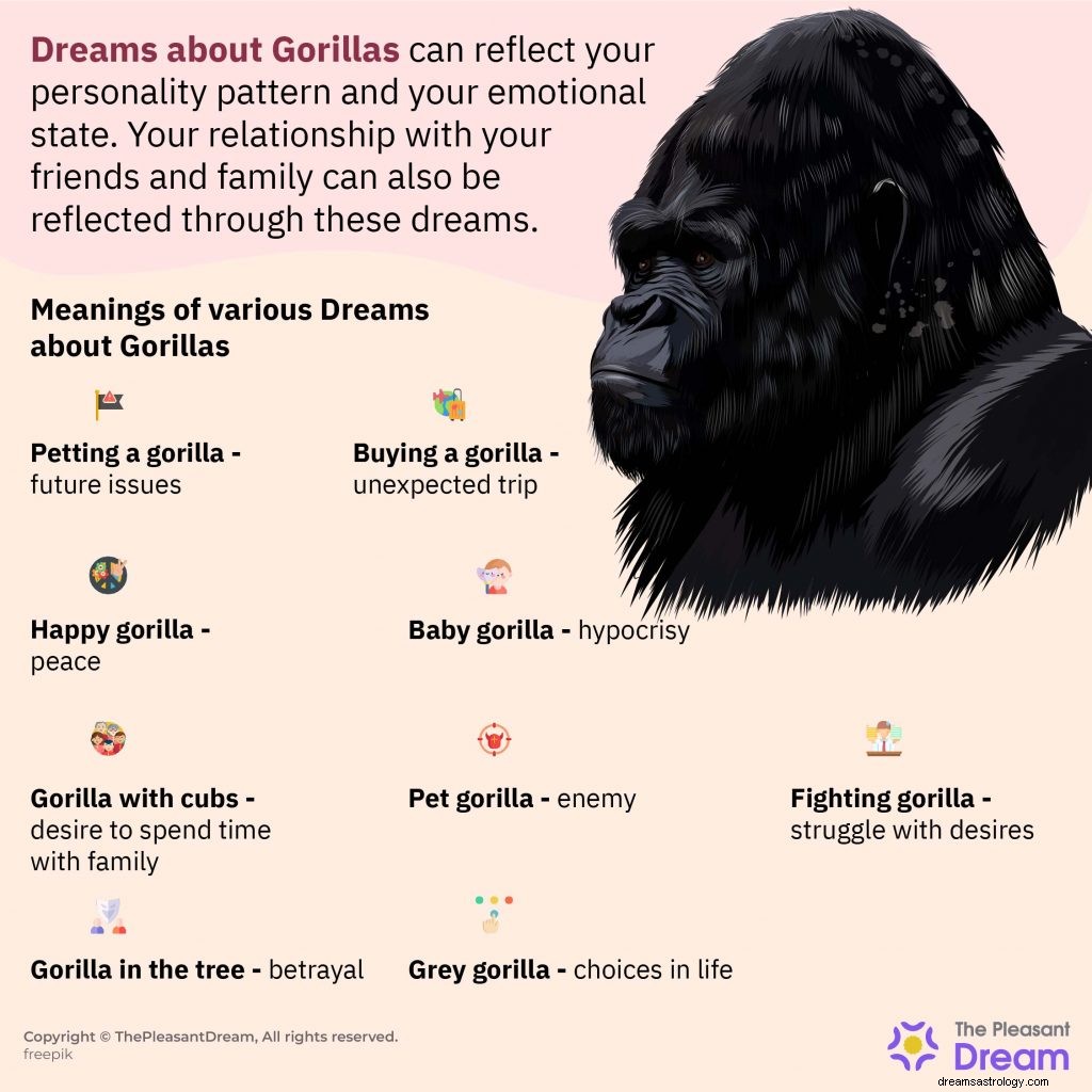 48 forskjellige drømmer om gorillaer og deres detaljerte tolkninger 