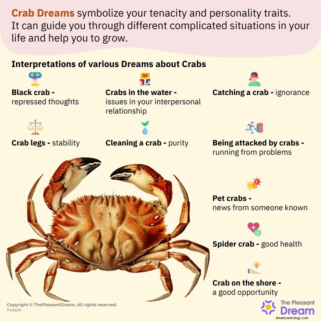 Sonhe com caranguejos:62 parcelas e suas interpretações 