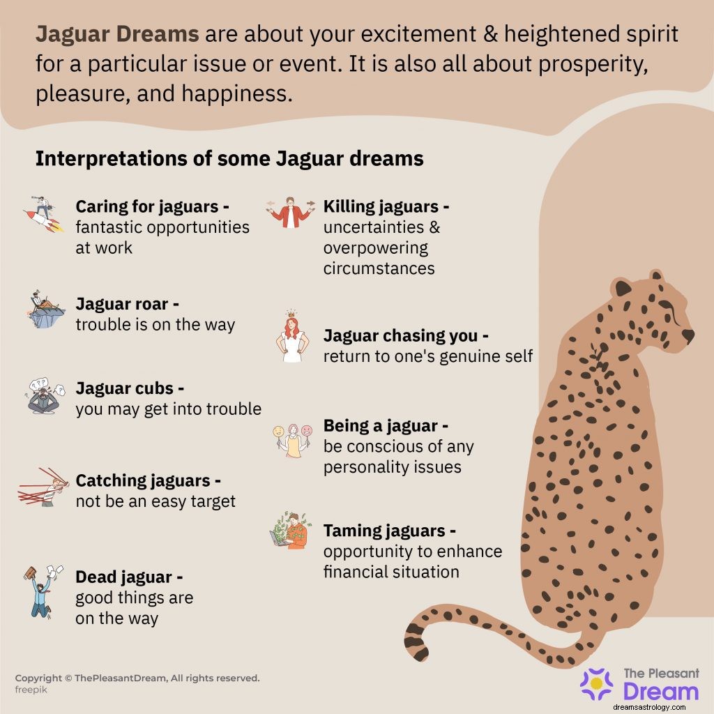 Jaguar em sonho - o guia definitivo 