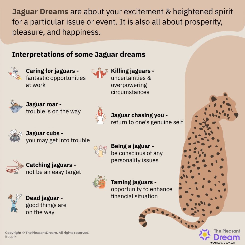 Jaguar in Dream – Panduan Utama 