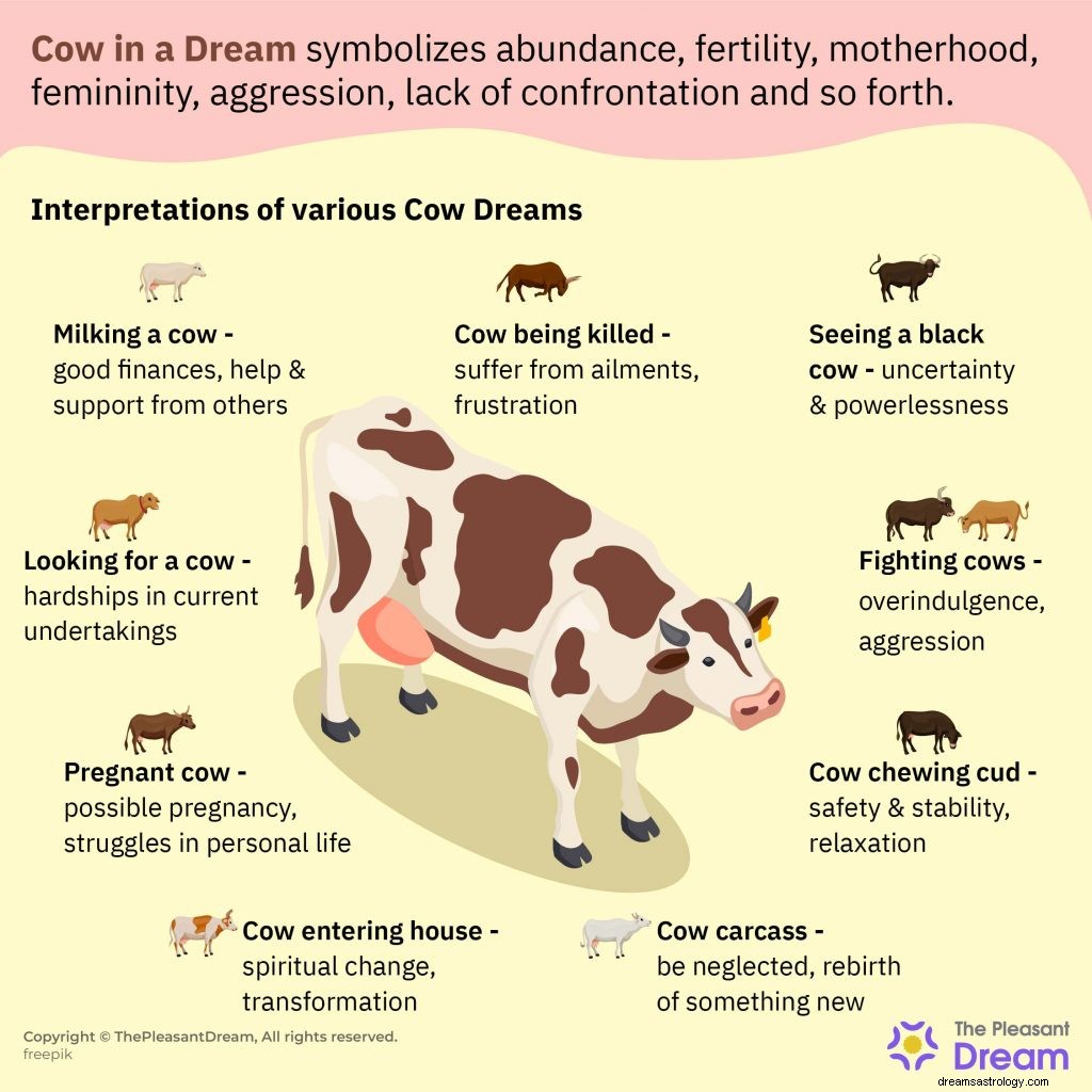 Vaca en Sueño:49 Maneras de Interpretarlo 