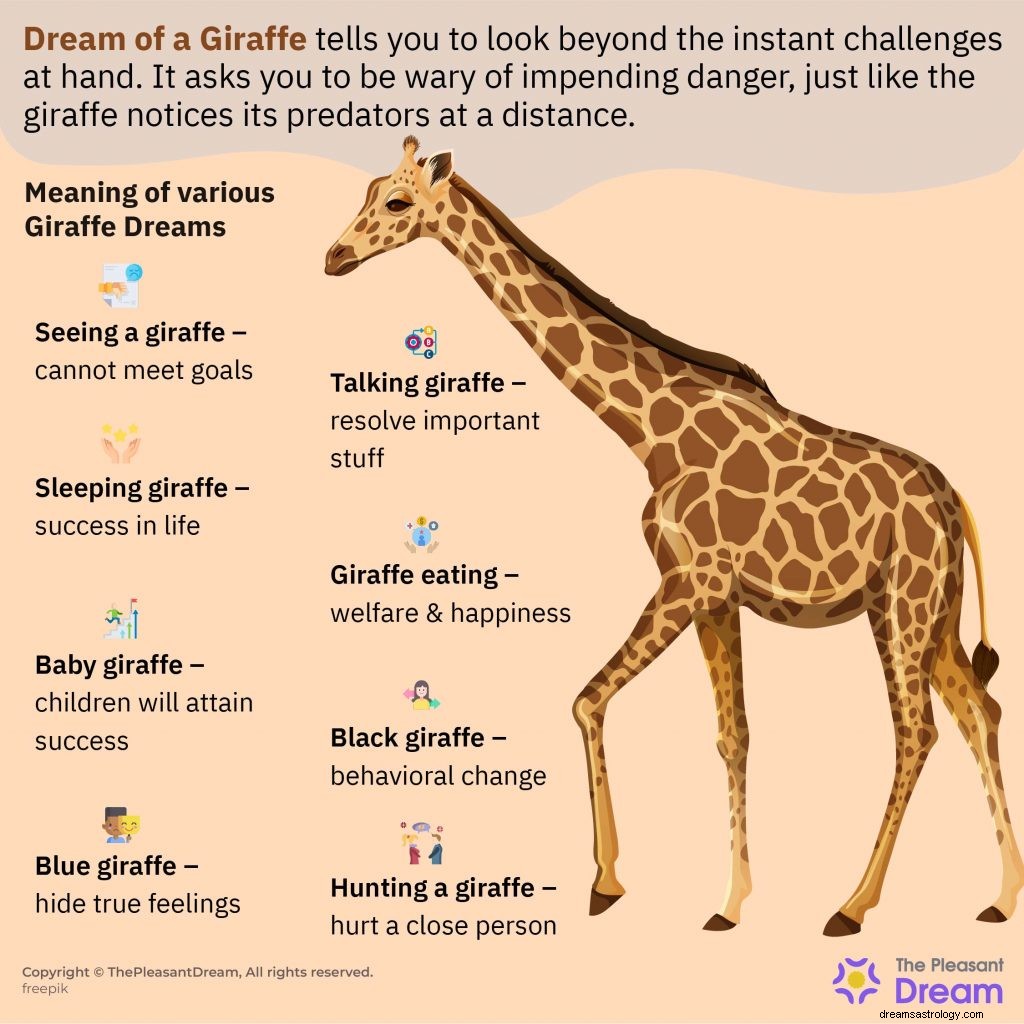 Sonho de uma girafa - 67 parcelas para você decodificar 