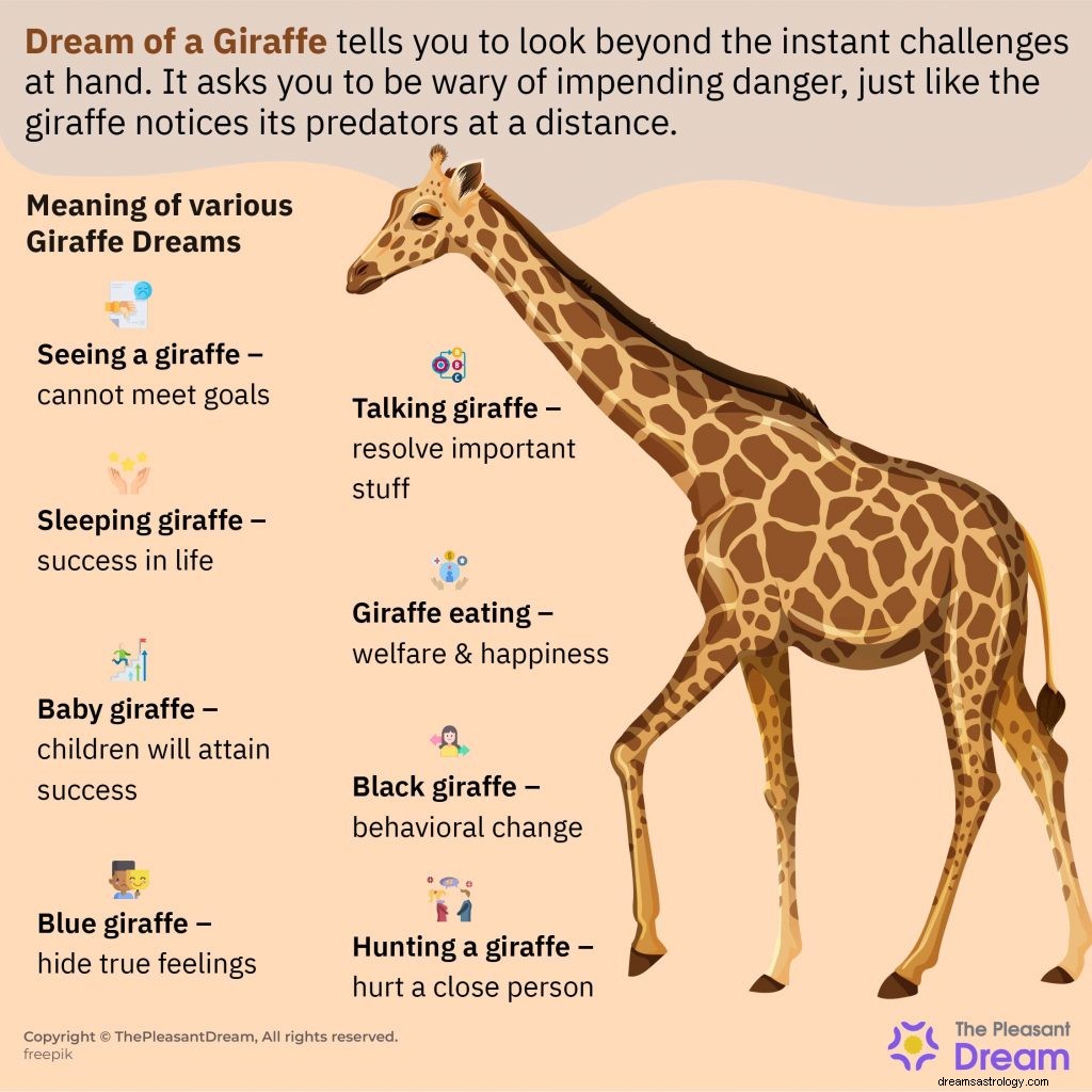 Dream of a Giraffe – 67 Plot untuk Anda Dekode 