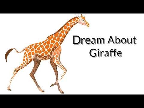 Sonho de uma girafa - 67 parcelas para você decodificar 