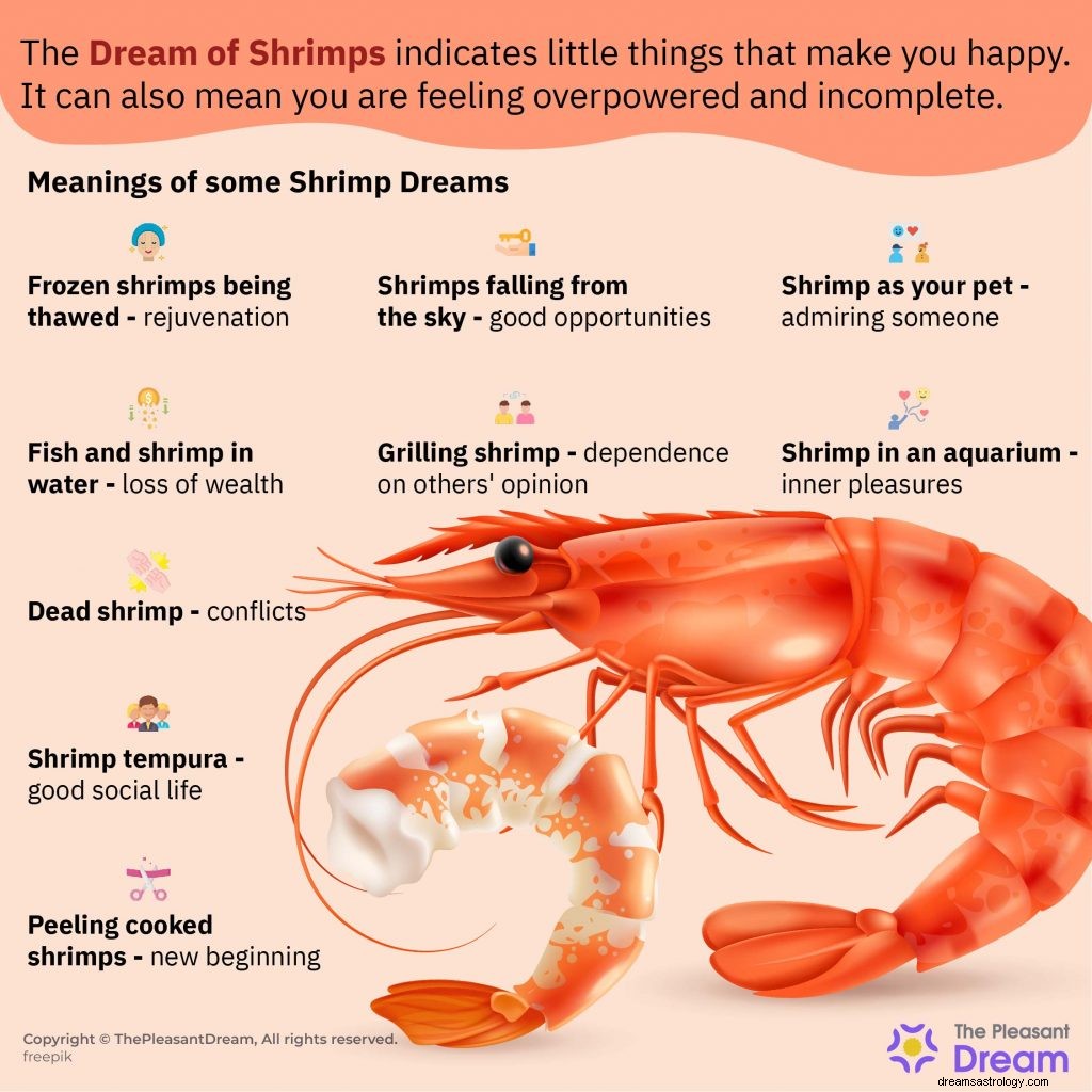 Dream of Shrimp – Όλα όσα πρέπει να ξέρετε για 