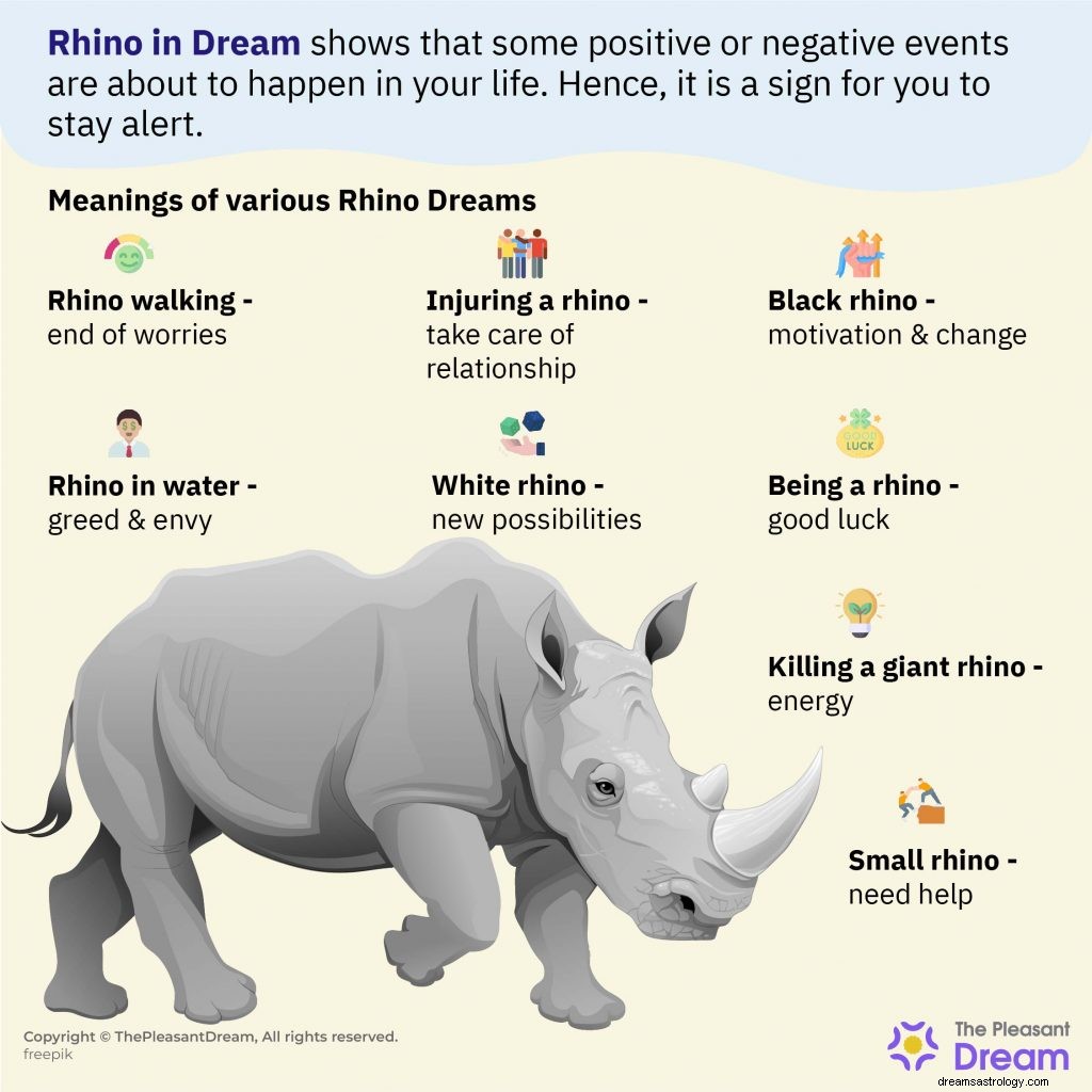 Rhino Dream Betekenis - de ultieme gids 
