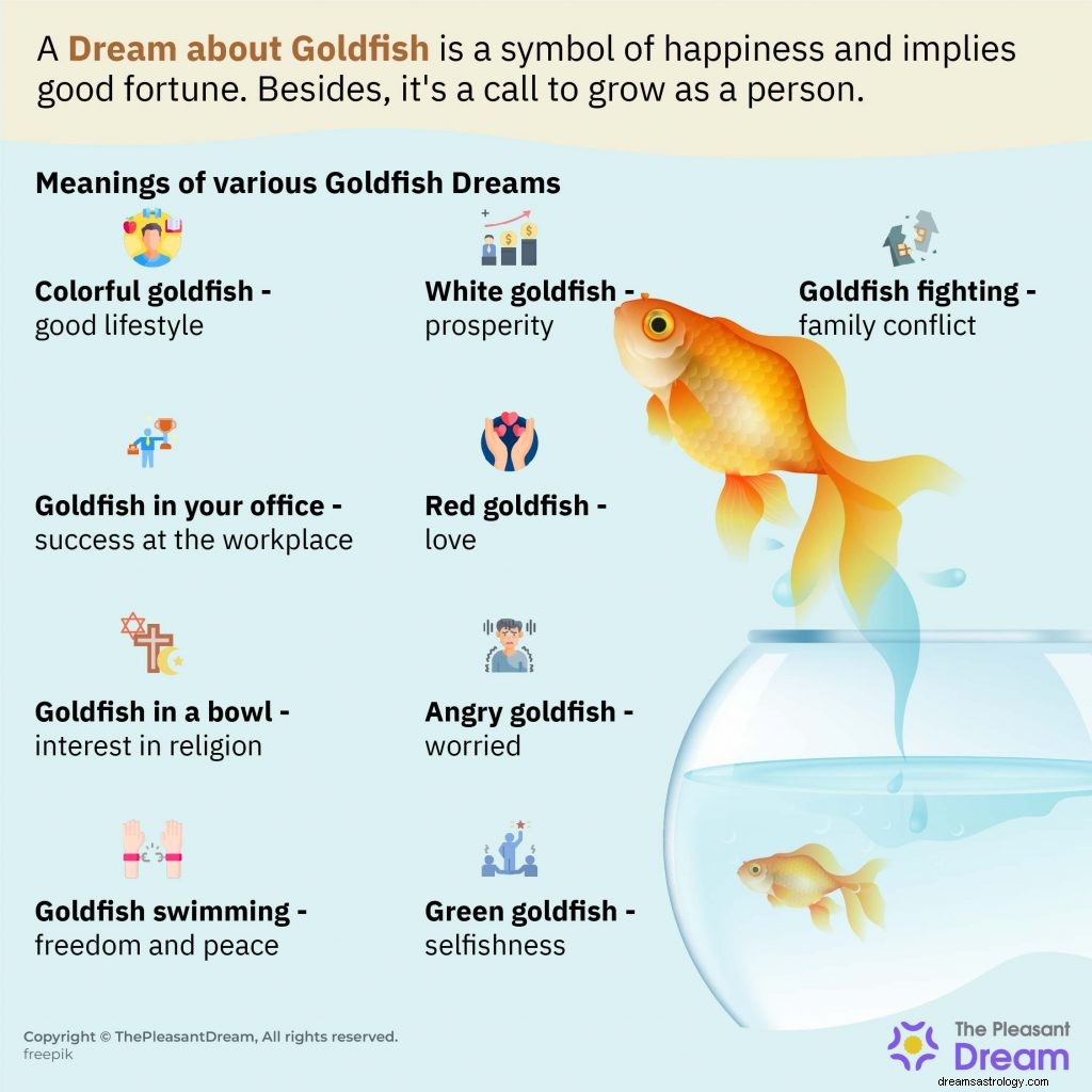Sonho de peixinho dourado – 50 parcelas com significados 