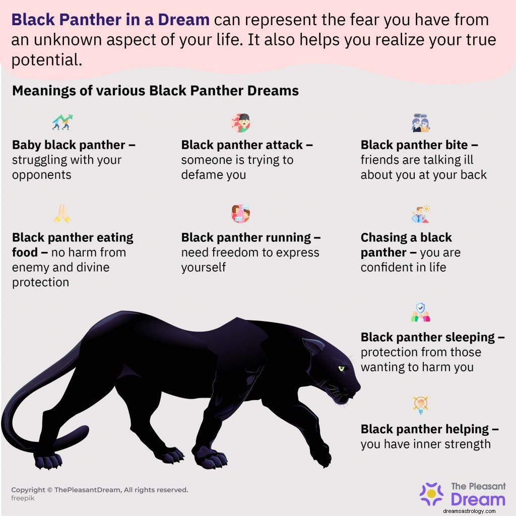 Schwarzer Panther in einem Traum? – Sehen Sie sich seine Facetten an 