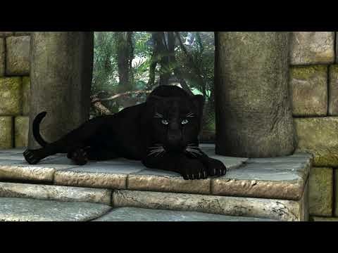 Black Panther i en drøm? – Sjekk ut dens fasetter 