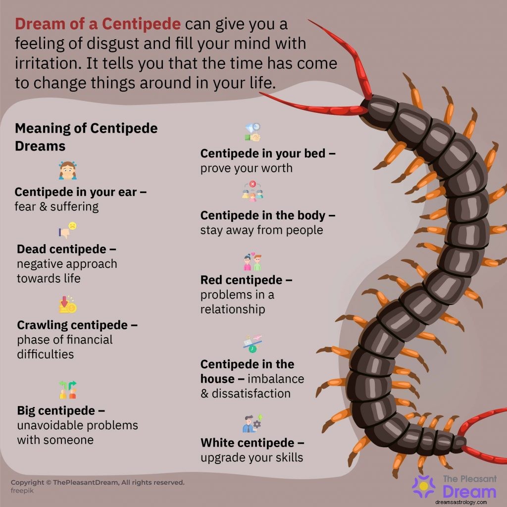 Dream of Centipede – 44 scenarier och deras beskrivningar 