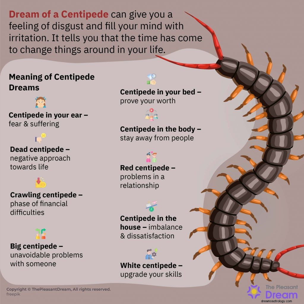 Dream of Centipede – 44 Skenario dan Deskripsinya 