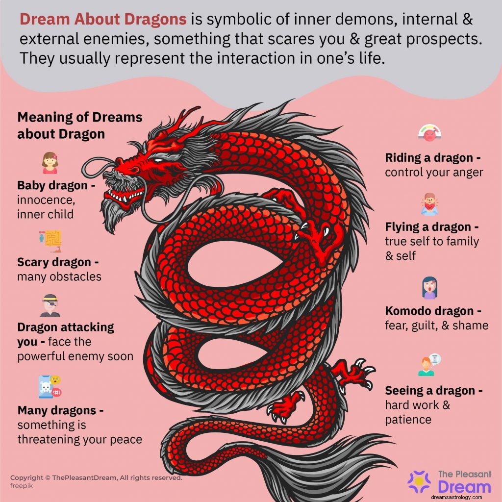All-inclusive gids over Dream About Dragon 