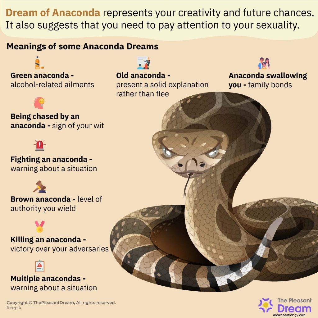 Sonho de Anaconda - O que isso significa para você? 