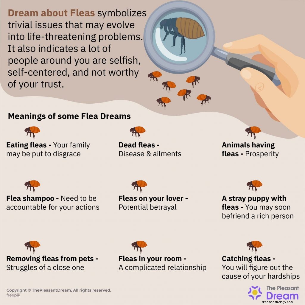 Soñar con pulgas:83 tramas y sus significados 