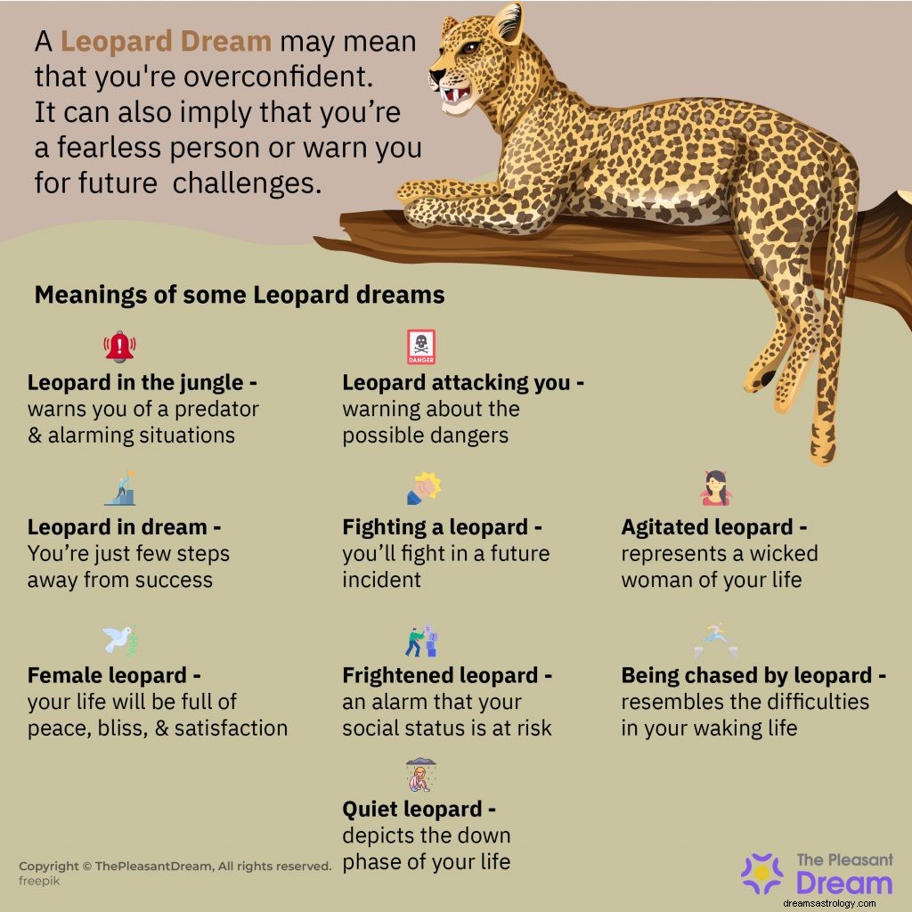 Våknet du til en leopard i drøm? Finn ut hva det betyr! 