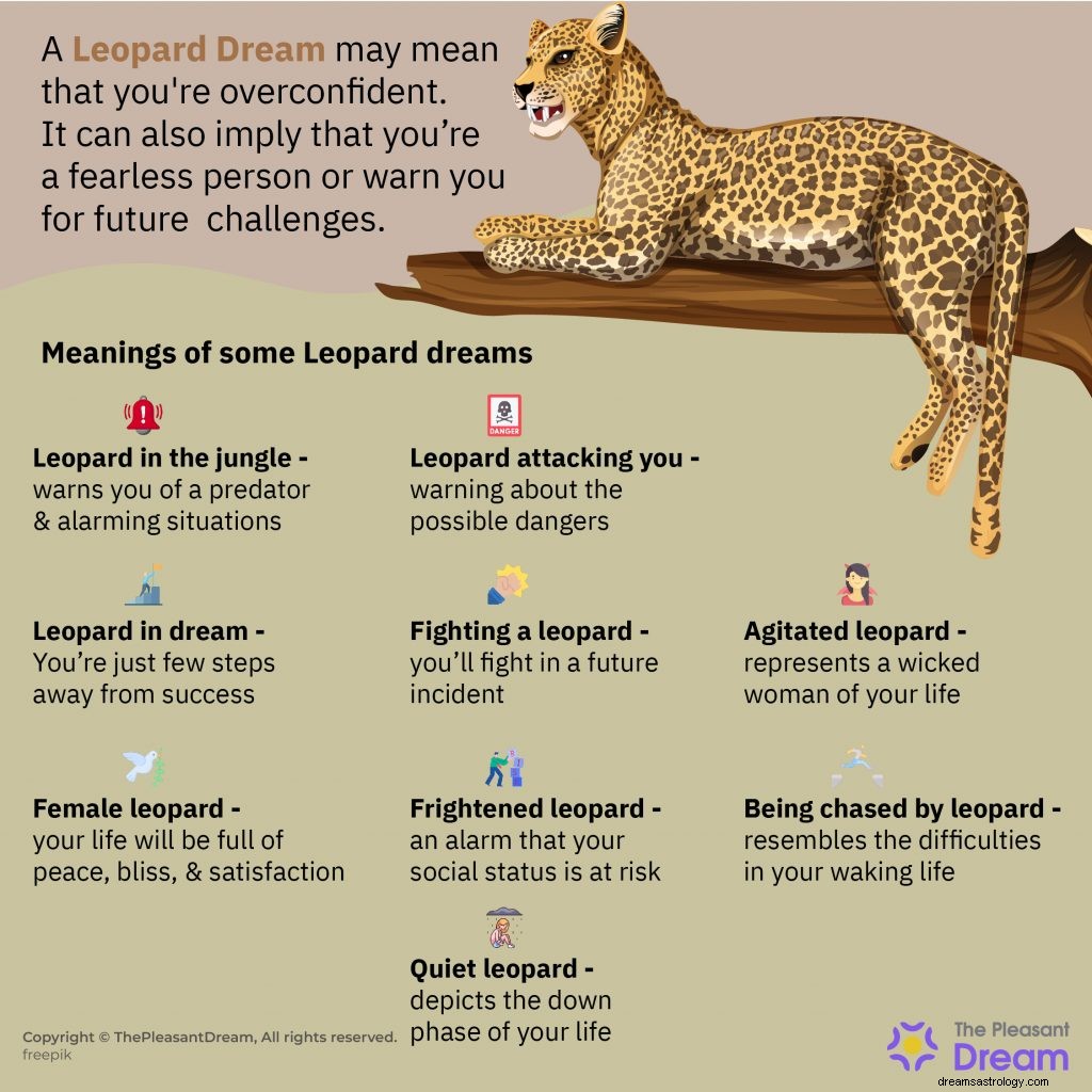 あなたは夢の中でヒョウに目覚めましたか？それが何を意味するのか調べてください！ 