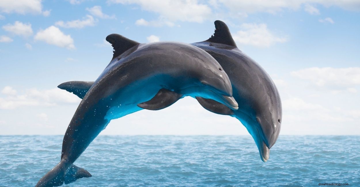 Drömmer du om delfiner? Kunna 55 plotter och tolkningar 