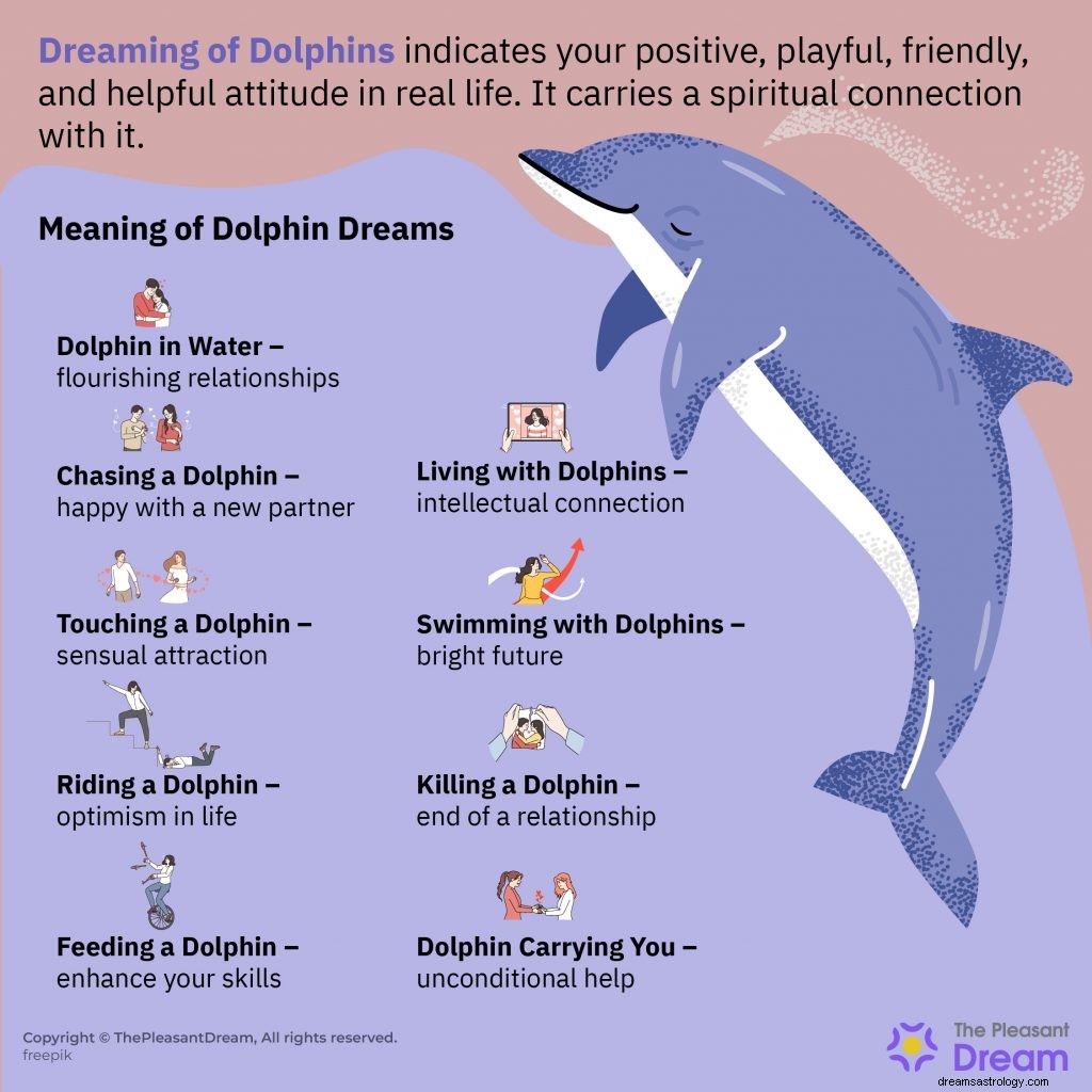 ¿Soñando con delfines? Conoce 55 Tramas e Interpretaciones 