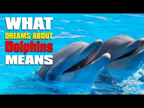 Vous rêvez de dauphins ? Connaître 55 parcelles et interprétations 