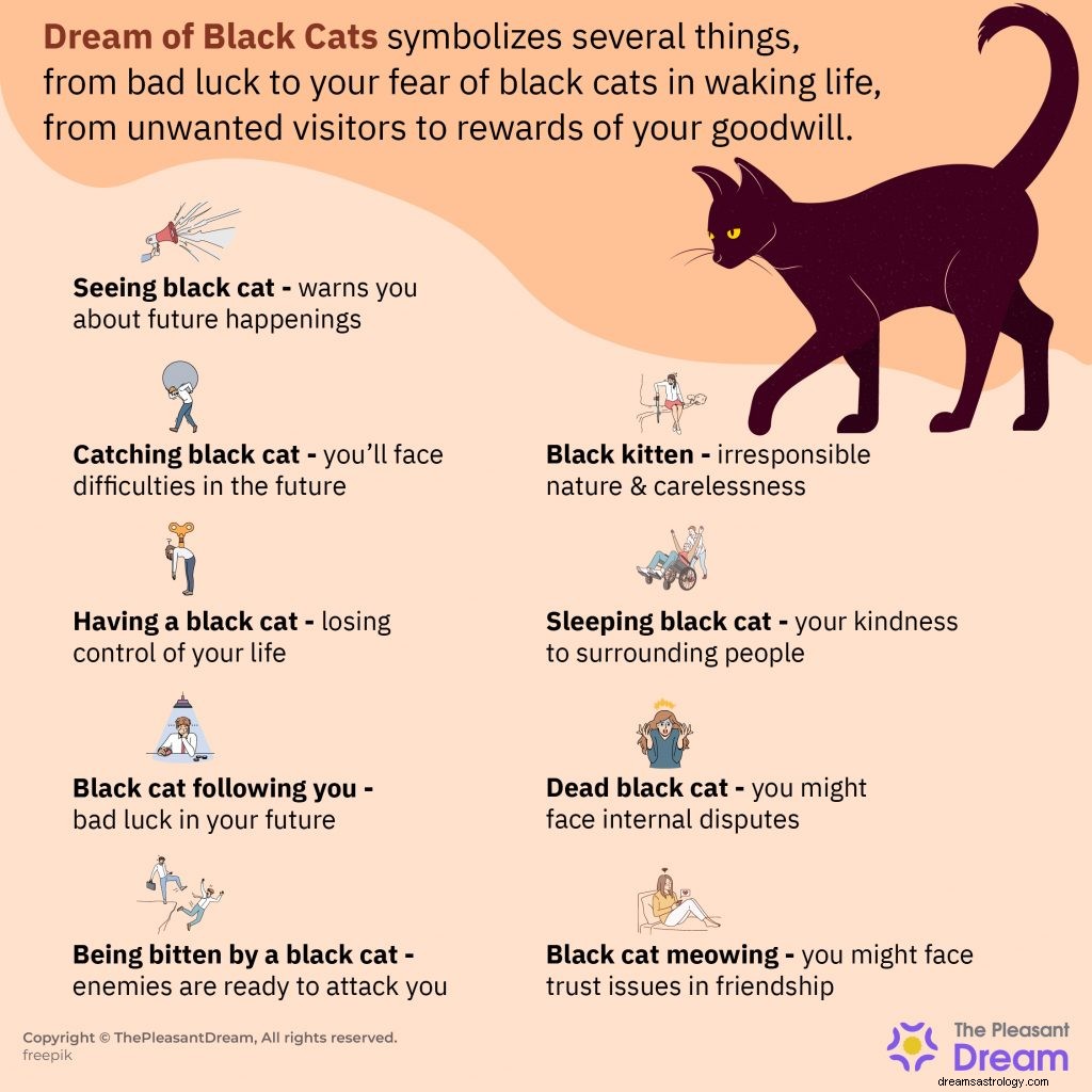 Så du en sort kat i drøm i nat? Her er hvad det betyder 