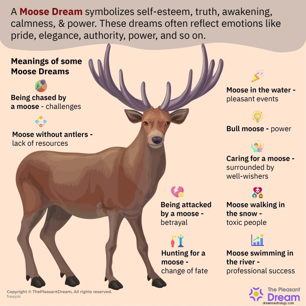 ムースについての夢–それはあなたにとって何を意味しますか？ 