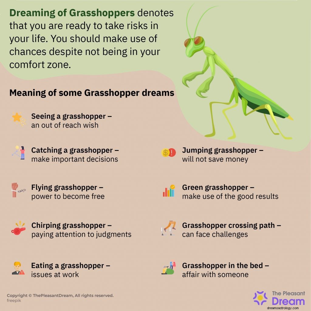 Dreaming of Grasshoppers – Menguraikan 53 Plot untuk Membantu Anda 