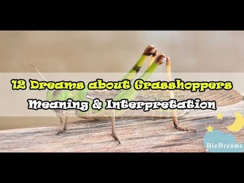 Drömmer om gräshoppor – Dechiffrera 53 tomter för att hjälpa dig 